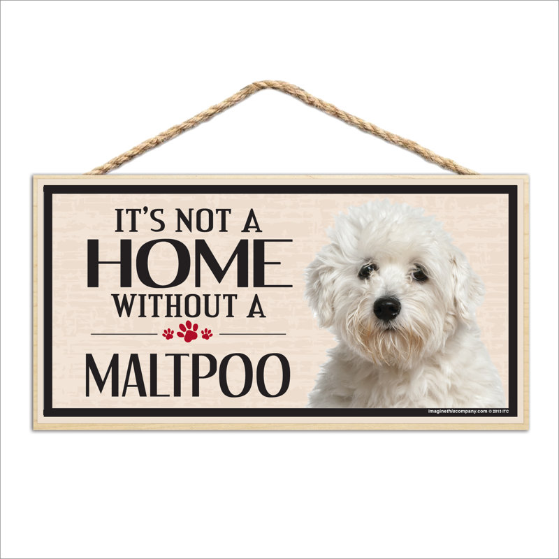 Ce n'est pas une maison sans notre enseigne Maltipoo