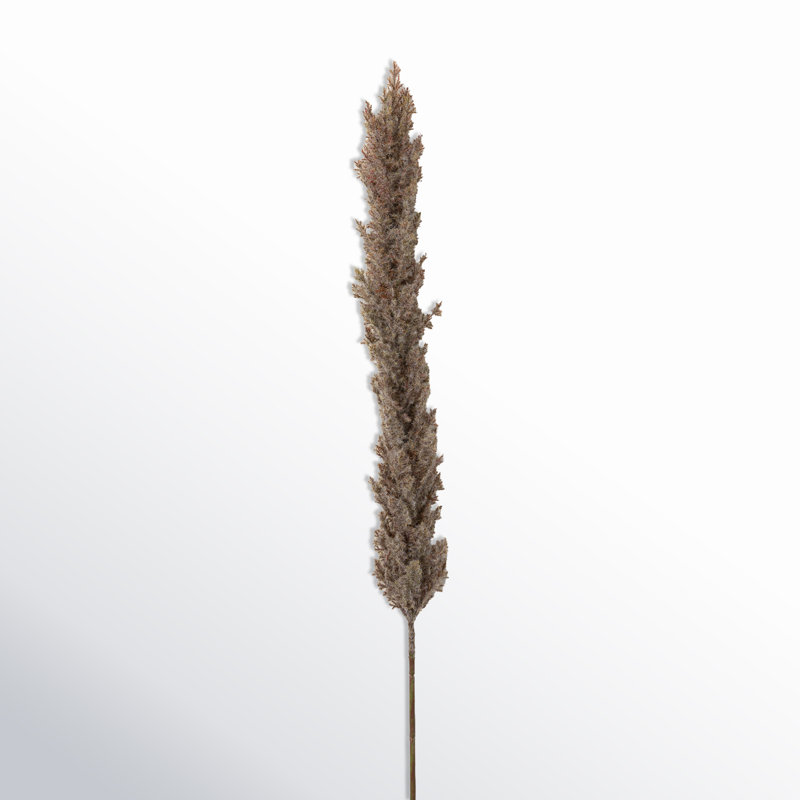Tall Brown Faux Pampas Grass Stem Arrangement