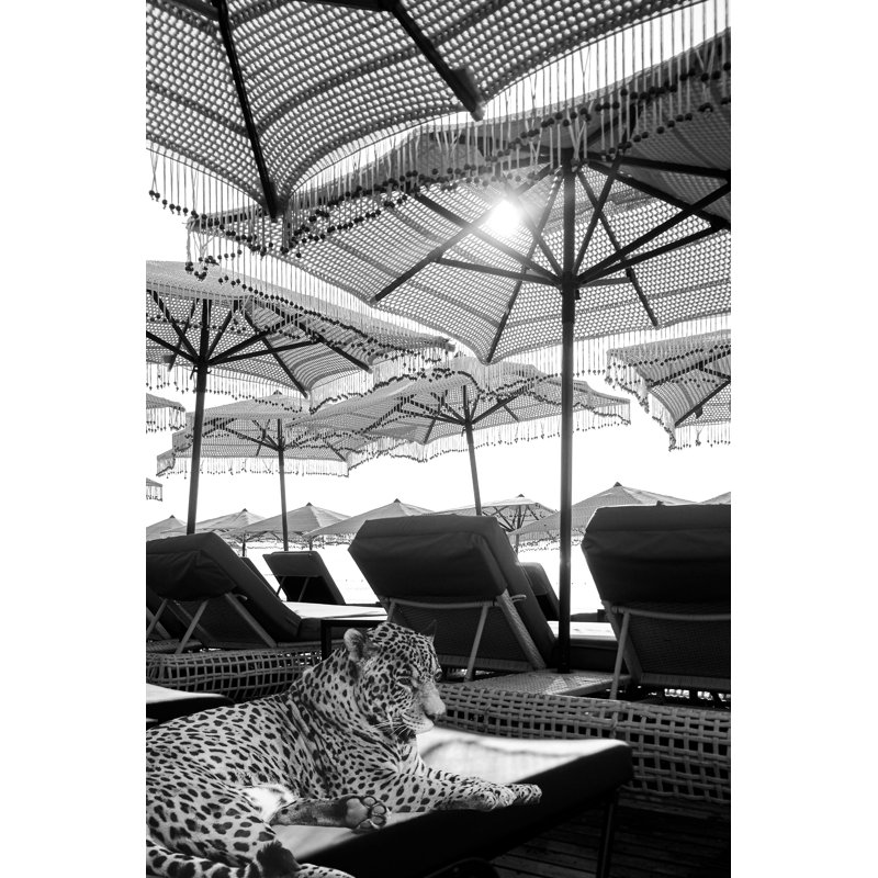 Léopard en vacances tropicales par Grotto Studios