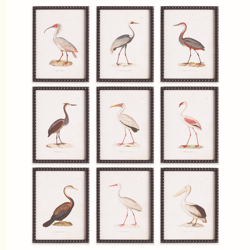 ETUDE D'OISEAUX AQUATIQUES, ENSEMBLE DE 9