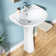 20" W x 16.5" D Pedestal Bathroom Sink U-Shaped Vitreous China with Single Faucet Hole and Overflow