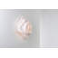 Nevo 1 - Light Flush Mounted Sconce-1224769747-1262647048