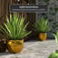 Cache-pot Shewmaker-1825344160-1825344165