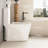 1.1/1.6 GPF Dual Flush One-Piece Toilet-111875221