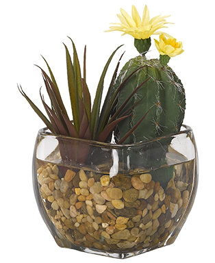 6 " H Faux Cactus and Aloe Succulent in Glass Decorative Vase