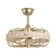 18" Rattan Caged Ceiling Fan with Light Kit and Remote