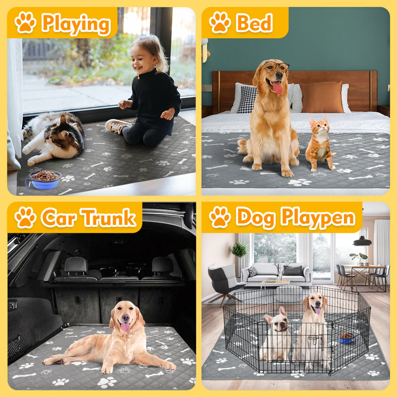 Washable Pee Pads for Dogs, Non-Slip, Highly Absorbent, Reusable, Waterproof Pet Training Pads for Playpen, Crate, Cage