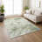Machine Washable Indoor/Outdoor Chantille ACN2599 Animal Rug-1698460201-1698460199