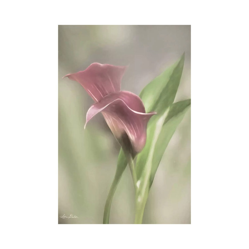 Pink Calla Lily by Lori Deiter - Wrapped Canvas Print, 20.32 cm H x 30.48 cm W