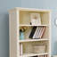 American Style Small Bookcase