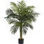 Sansevieria avec jardinière noire et jardin de 4 pi Palmier Golden Cane