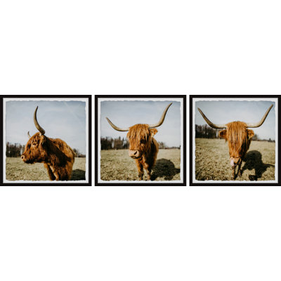 Yasmin Cow Pose 3 Piece Single Picture Frame Wall Art Set