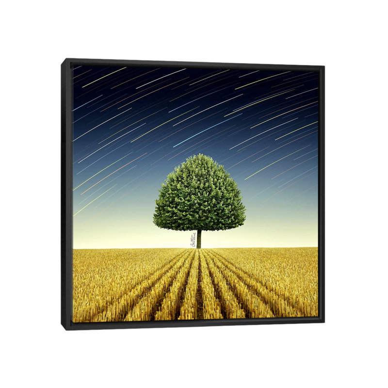 Newton's Apple Tree by Ben Heine - Print on Canvas, Black Framed, 66.04 cm H x 66.04 cm W