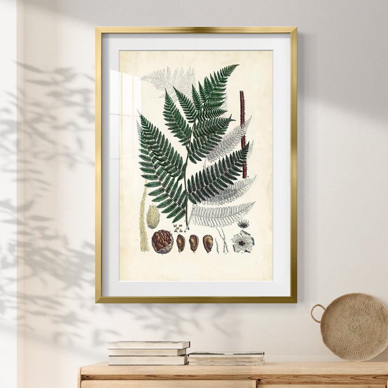 Corlee -Gallery Wrapped Canvas