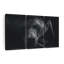 Ours brun monochrome sur toile 3 pièces-566179161