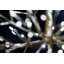 Arbre 96 lumières Starburst