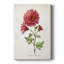 Botanical III - Cavas enveloppés de galerie