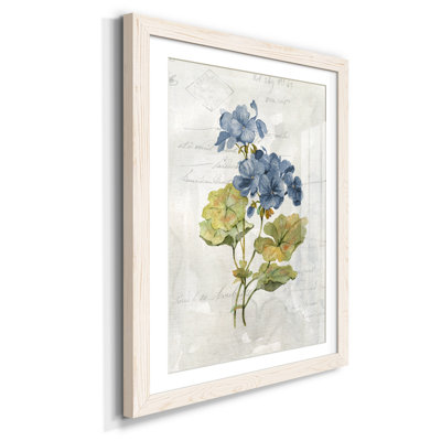 " Blue Linen Geranium " Painting Print