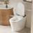 BirchLn Smart Toilet with Muti Wash Modes, Auto Open & Close, U-Shaped Heated Seat, Auto/Kick Flush, Night Light