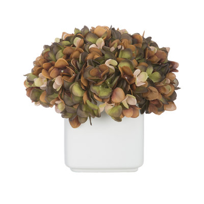 Hydrangea Arrangement