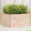 2 Wood Planter-100491942-100491949