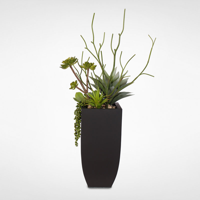 Faux Succulent Plant in Planter