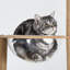 Arbre à chat 73 po