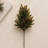 Fresh Touch Pine Spray