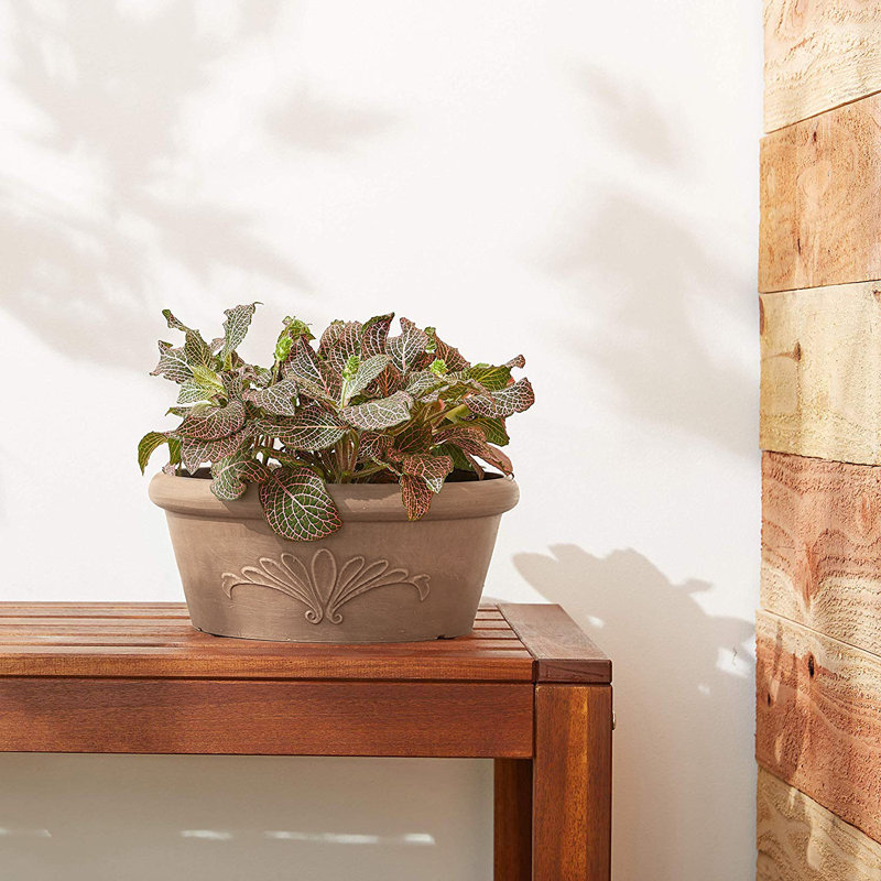 Pot à fleurs en plastique Myler, H 3 po x l 8 po x P 8 po, Taupe