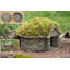 Maegan Fantasy & Sci-Fi Stone Garden Statue