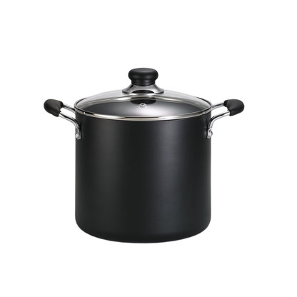 https://assets.wfcdn.com/im/35271335/resize-h416-w416%5Ecompr-r85/3707/37075893/T-fal+Easy+Care+Nonstick+Stockpot+with+lid%252C+12+quart.jpg
