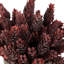 Plante artificielle en pot 8 po