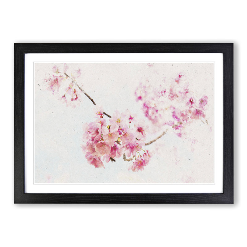 Pink Sakura Blossom Tree in Bloom - Picture Frame Graphic Art Print on MDF, Black Framed, 24cm H x 33cm W x 2cm D