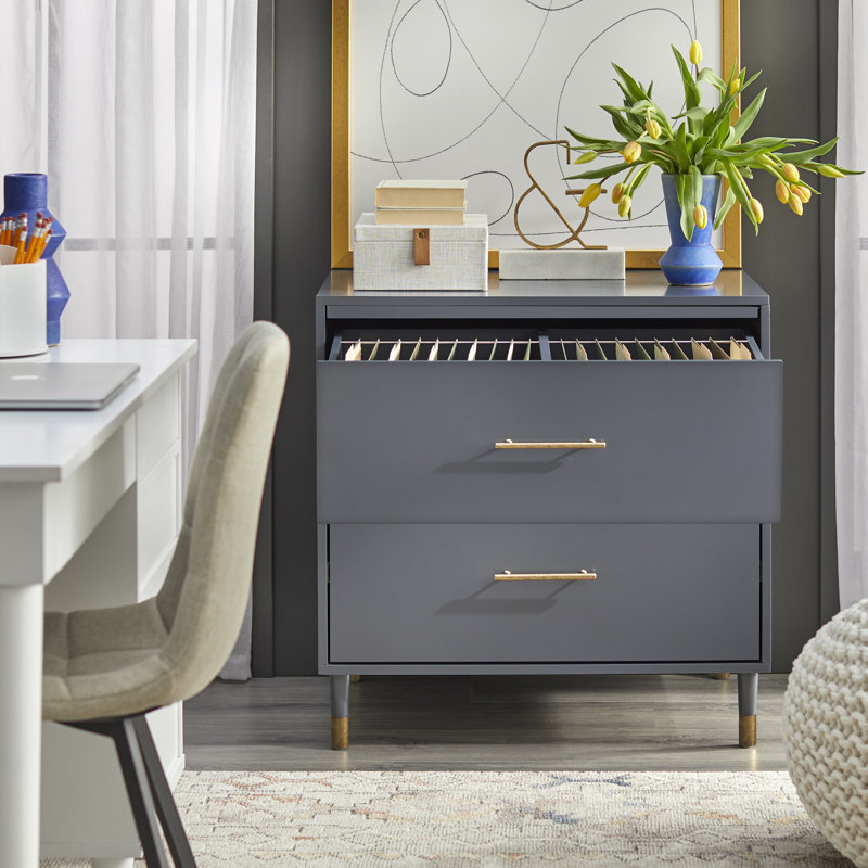 Camylle 30'' Wide 2 -Drawer File Cabinet, Charcoal