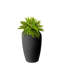 Jardinière en osier-101174436-101174434