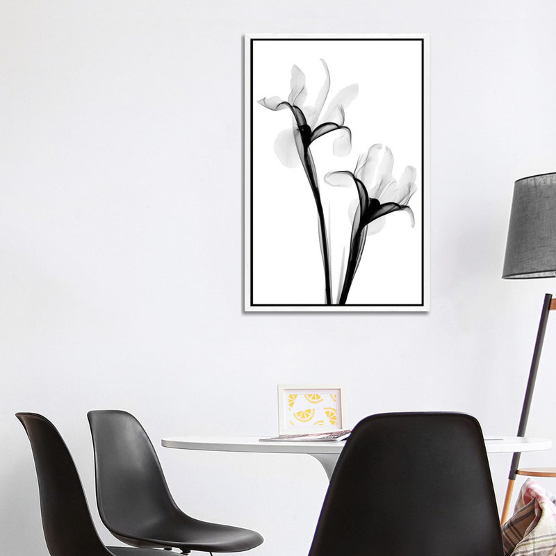 Two Irises I by Hong Pham - Wrapped Canvas Print, 101.6 cm H x 66.04 cm W, White Framed