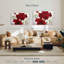 Amaryllis Harnek rouge et blanc