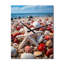 Horloge murale moderne Coastal Shells In The Beach II - Animaux-99630949