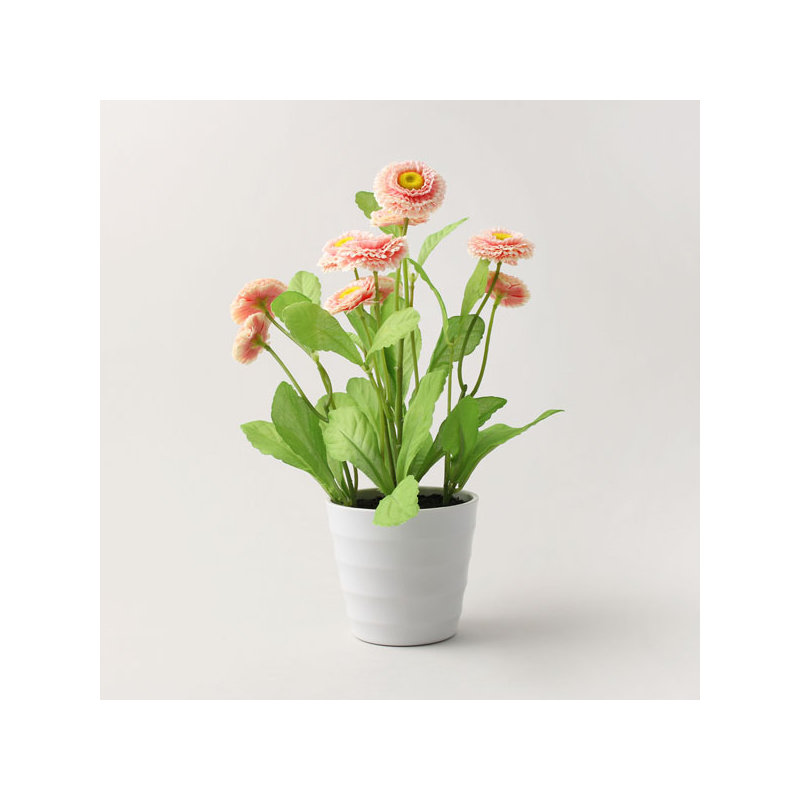 29cm Plant