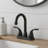 12" Bathroom Sink Faucet with 2-handle-120650283