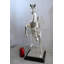 Sculpture cheval bronze cabré avec finition argentée 20 po x 9 po x 29 po Ferrari