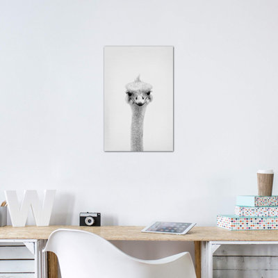 " Ostrich " by Sisi & Seb