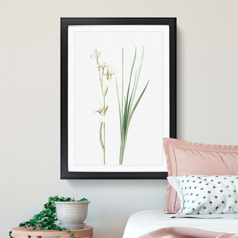 Siberian Iris Flowers by Pierre-Joseph Redoute - Picture Frame Painting Print, 36cm H x 27cm W x 2cm D, Black Framed