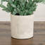 8 po Buis artificiel en pot décoratif - ensemble de 2