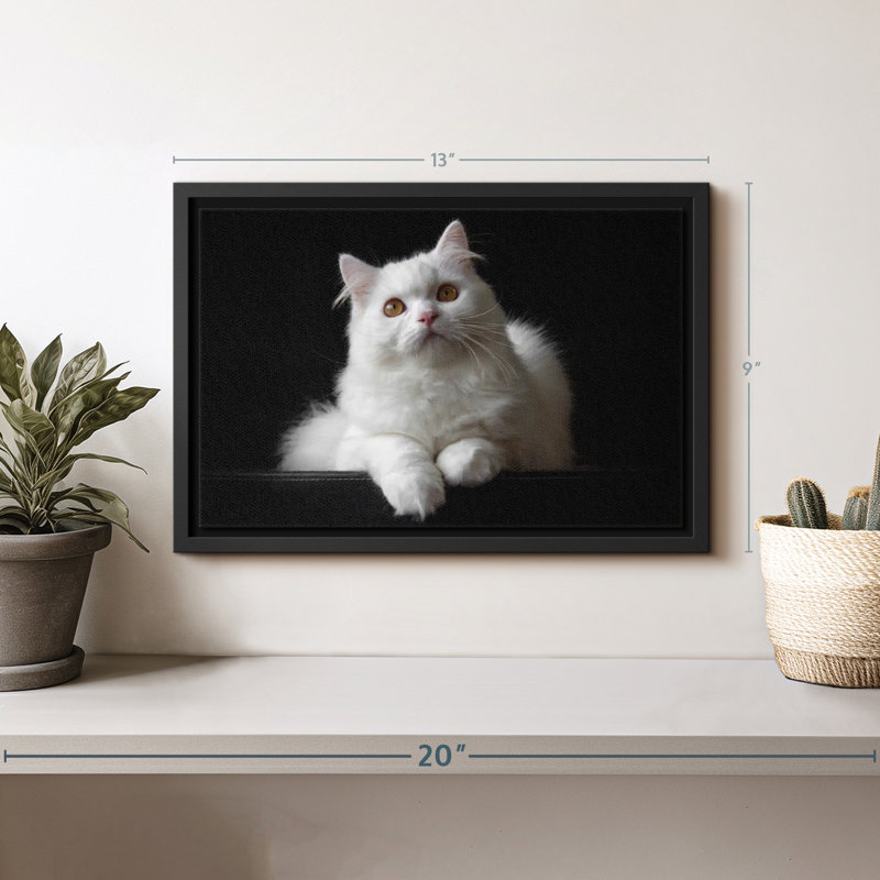 Impression sur toile de chat persan blanc, H 9 po x l 13 po