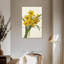 Jonquilles Harnek-108617258
