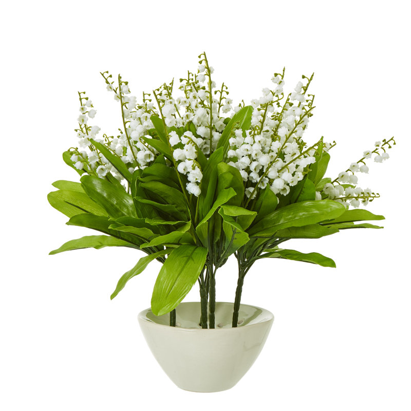 Anastasija Arrangement