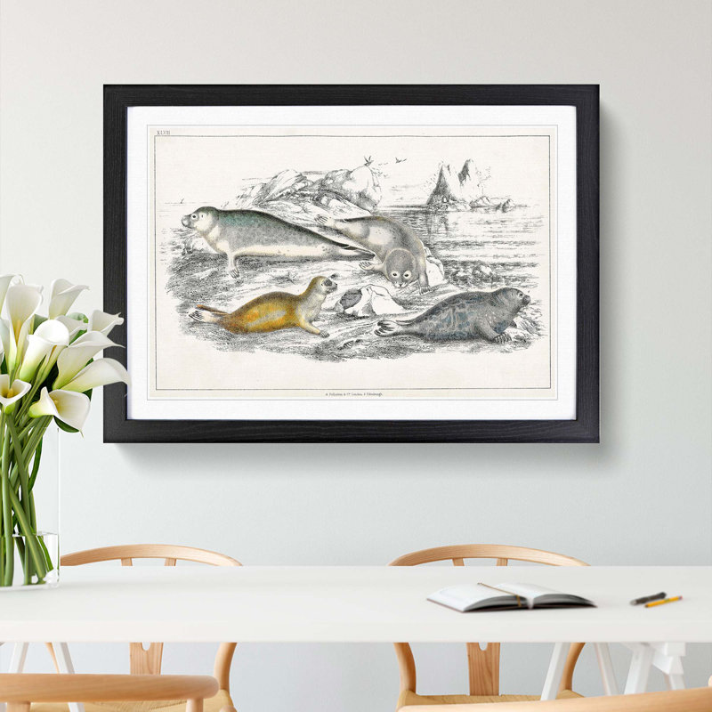 Various Seals XLVII by Oliver Goldsmith - Picture Frame Painting Print, 48cm H x 65cm W x 2cm D, Black Framed