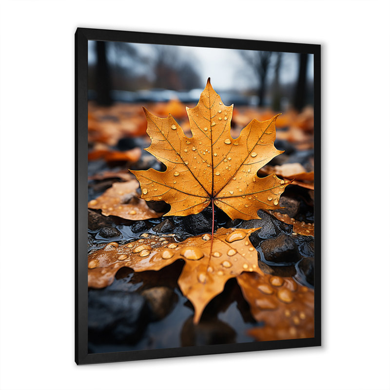 Feuilles d'automne collage I - impression, Cadre photo noir, H 20 po x l 12 po x P 1 po