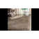 Frankye Shag Performance Solid Color Rug